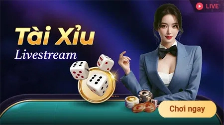 8live.team livestream tài xỉu